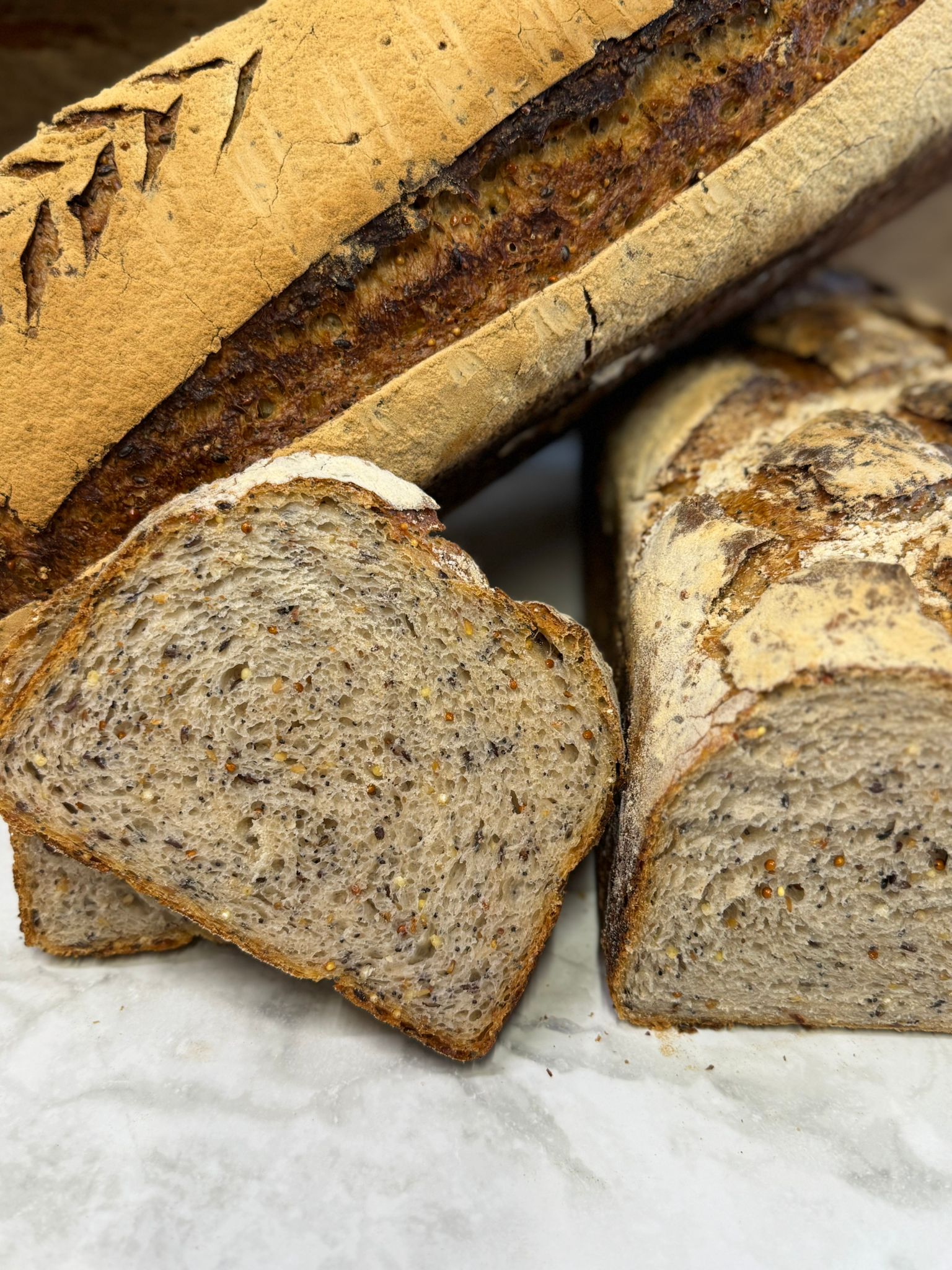 Campagne graine levain